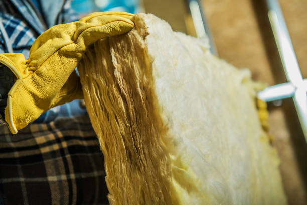 Best Blown-in Insulation in South Chicago Heights, IL