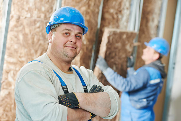 Best Residential Insulation in South Chicago Heights, IL