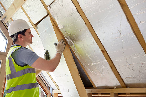 Best Energy Efficiency Insulation in South Chicago Heights, IL